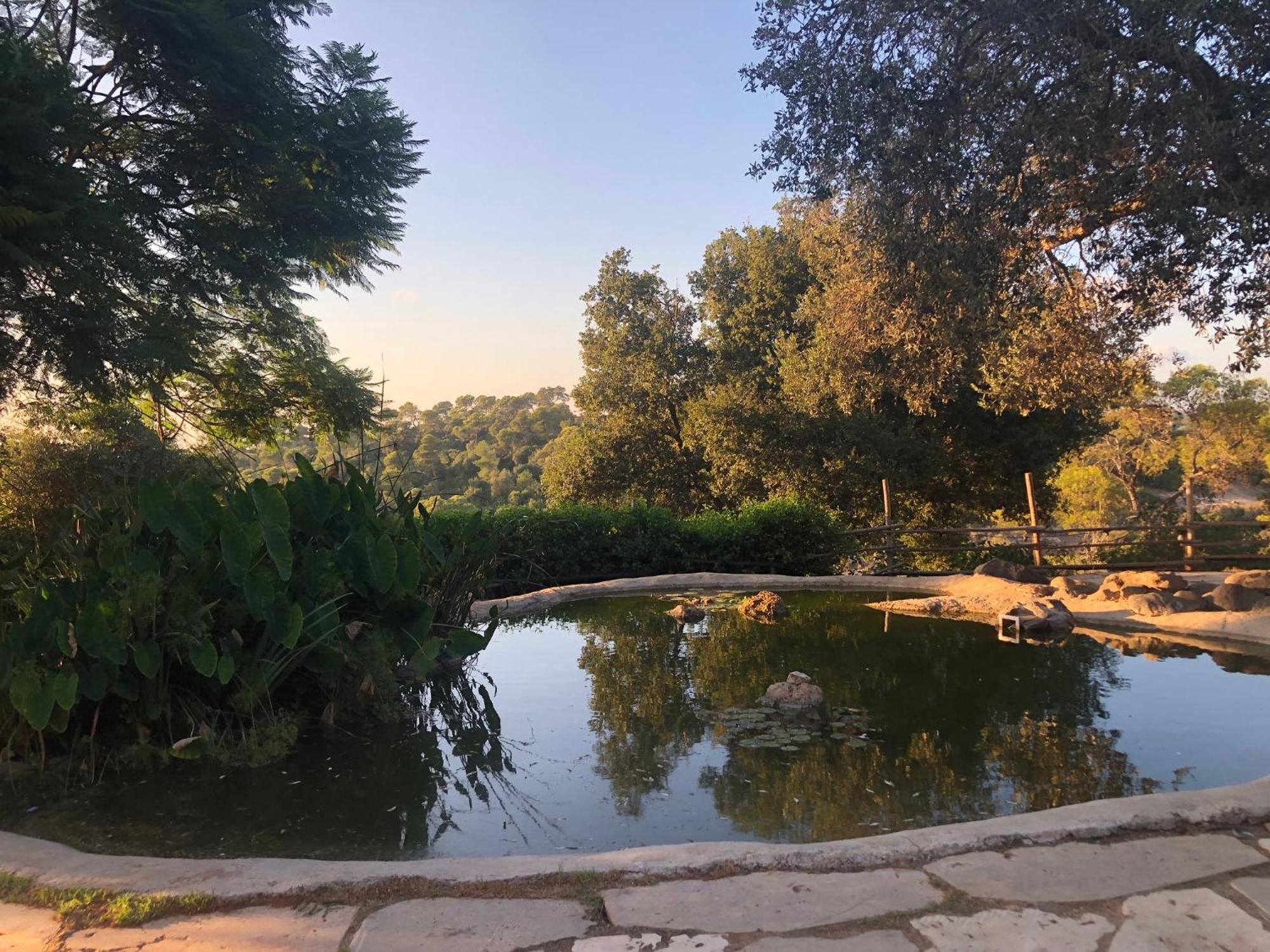 Beit Oren Hotel エクステリア 写真